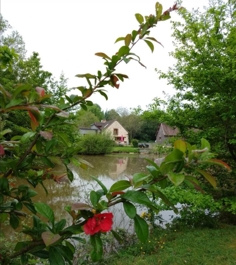 Coulans-sur-Gée24H Le Mans - Les Haies Gite, Near Le Mans Circuit别墅 外观 照片